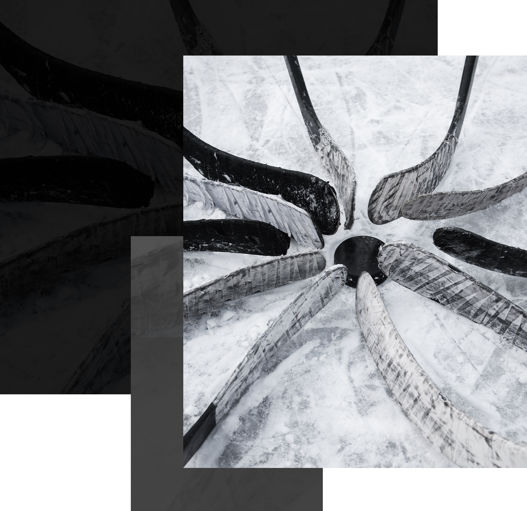 Steve-Bannach-Network